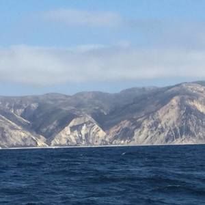 Meet your Posher, Gail